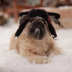 Frisco Tartan Plaid Dog & Cat Trapper Hat -PetPalace Picks 746750 PT5. AC SS1800 V1694800749