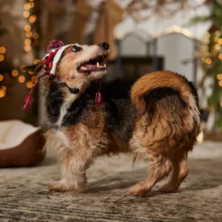 Frisco Nordic Pawprint Dog & Cat Hat 12 Frisco Nordic Pawprint Dog & Cat Hat -PetPalace Picks 746782 PT5. AC SS1800 V1694799891