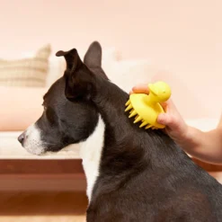 Buddy Wash Relaxing Green Tea & Bergamot Dog Shampoo & Conditioner & Frisco Rubber Duckie Dog & Cat Curry Brush 16 Buddy Wash Relaxing Green Tea & Bergamot Dog Shampoo & Conditioner & Frisco Rubber Duckie Dog & Cat Curry Brush -PetPalace Picks 826422 PT7. AC SS1800 V1681332439