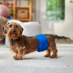 Frisco Washable Dog Diaper Male Wraps -PetPalace Picks 862854 PT3. AC SS1800 V1698950172
