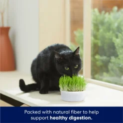 Frisco Natural Cat Grass Growing Kit -PetPalace Picks 944102 PT3. AC SS1800 V1701364933