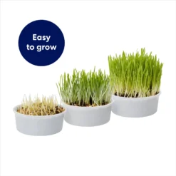 Frisco Natural Cat Grass Growing Kit -PetPalace Picks 944102 PT4. AC SS1800 V1701364932