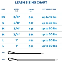 Frisco Padded Nylon No Pull Dog Harness & Frisco Traffic Leash With Padded Handles & Poop Bag Dispenser 15 Frisco Padded Nylon No Pull Dog Harness & Frisco Traffic Leash With Padded Handles & Poop Bag Dispenser -PetPalace Picks 947622 PT6. AC SS1800 V1693924198