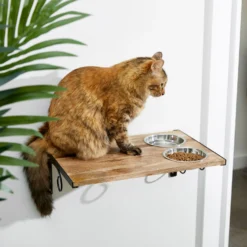 Coziwow Wall Mounted Shelves Set Cat Tree & Frisco Wooden Wall Mounted Stainless Steel Cat Feeding Station With Bowl -PetPalace Picks 947694 PT8. AC SS1800 V1693602742