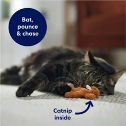 Frisco Squirrel Plush Cat Toy With Refillable Catnip & Frisco Bird With Feathers Teaser Wand Cat Toy With Catnip -PetPalace Picks 962030 PT3. AC SS1800 V1694783954