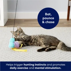 Frisco Colorful Springs Cat Toy & Frisco Bird With Feathers Teaser Wand Cat Toy With Catnip 17 Frisco Colorful Springs Cat Toy & Frisco Bird With Feathers Teaser Wand Cat Toy With Catnip -PetPalace Picks 962126 PT8. AC SS1800 V1694782921