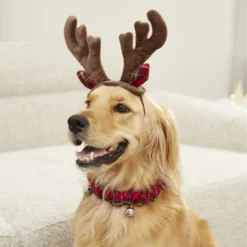 Frisco Jingle Bells Dog & Cat Holiday Collar With Bells, 1 Count & Frisco Holiday Antler Headband & Bell Collar Dog & Cat Costume -PetPalace Picks 986294 PT7. AC SS1800 V1698258404
